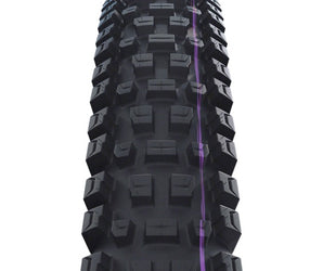 Schwalbe Albert Tire - 29 x 2.50 Tubeless Folding Black Evolution Line Trail Pro Addix Ultra Soft Radial E-50