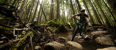 Person mountain biking through a forest with dense trees and rocky path.